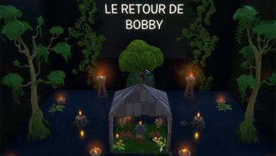 Bobby's Return