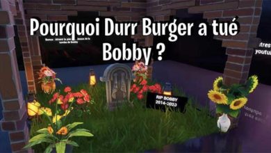 Pourquoi Durr Burger A Tué Bobby ?