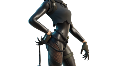Fortnite Catwoman Zero skin